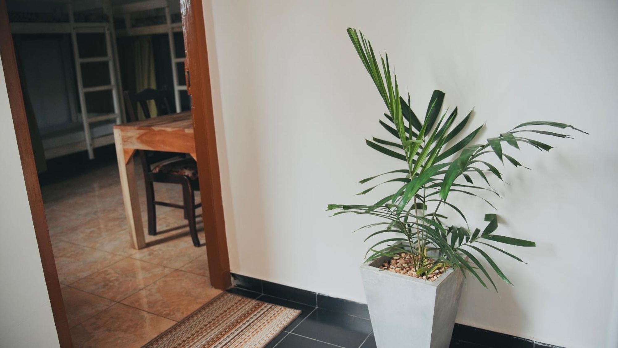 Dreamy Surf House Hotel Weligama Exterior foto
