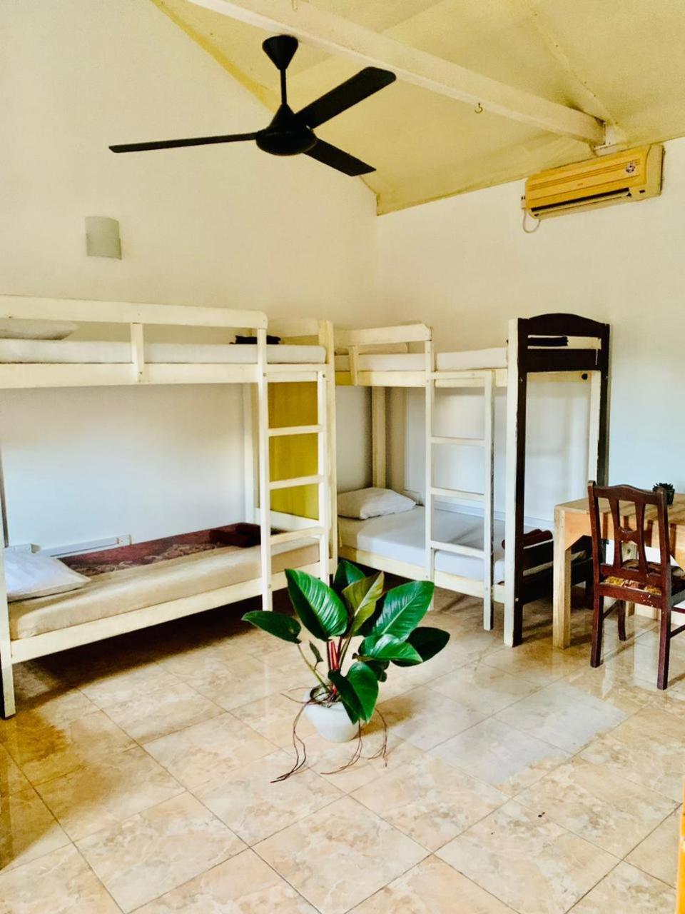 Dreamy Surf House Hotel Weligama Exterior foto